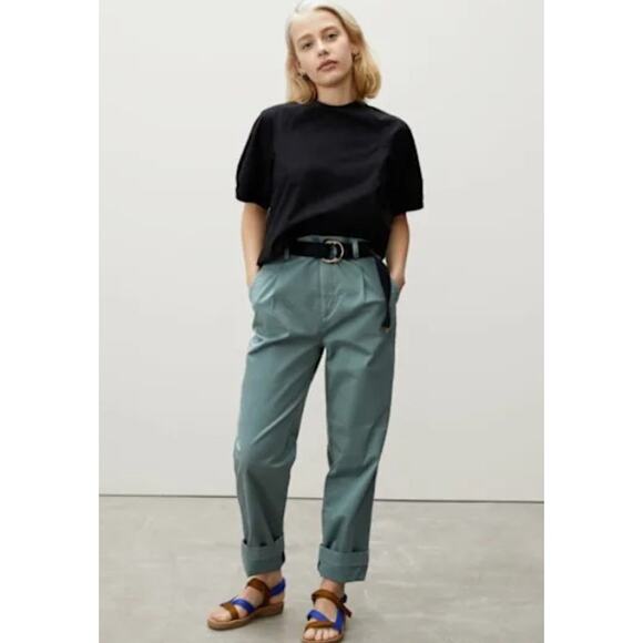 Everlane Pants - Everlane The Pleated Chino Straight Leg Pant in Balsam Green, 0